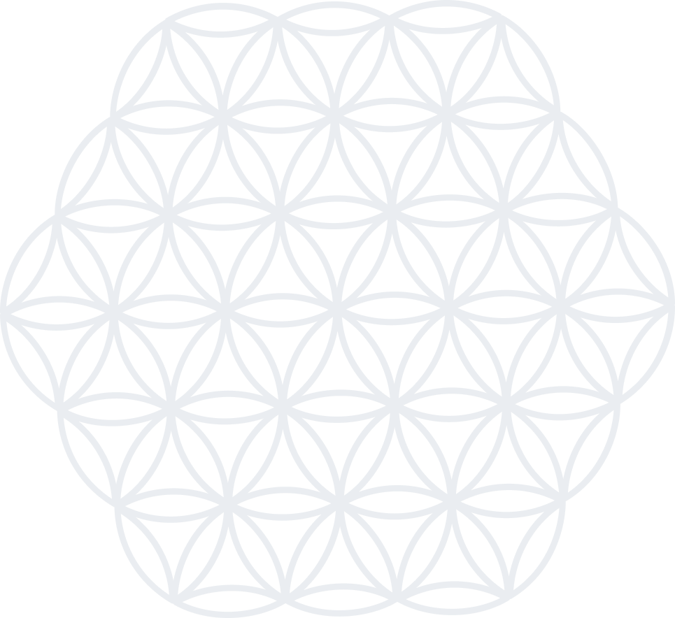 a flower image